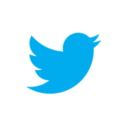 audience engagement